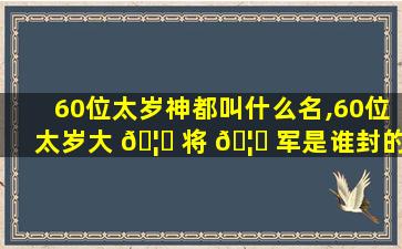 60位太岁神都叫什么名,60位太岁大 🦆 将 🦈 军是谁封的